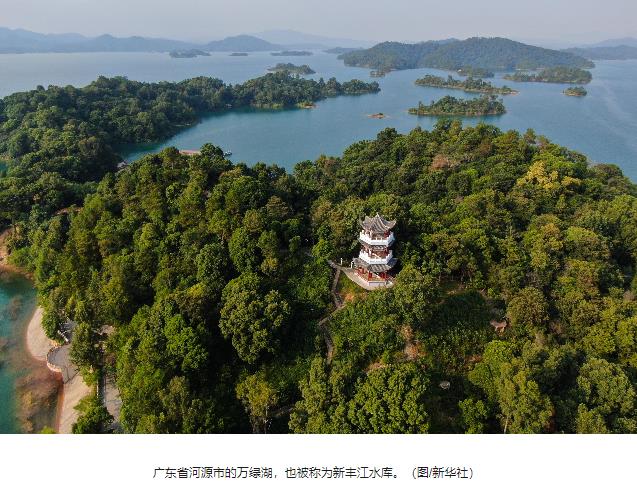 免费色情片