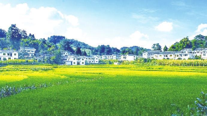 免费色情片