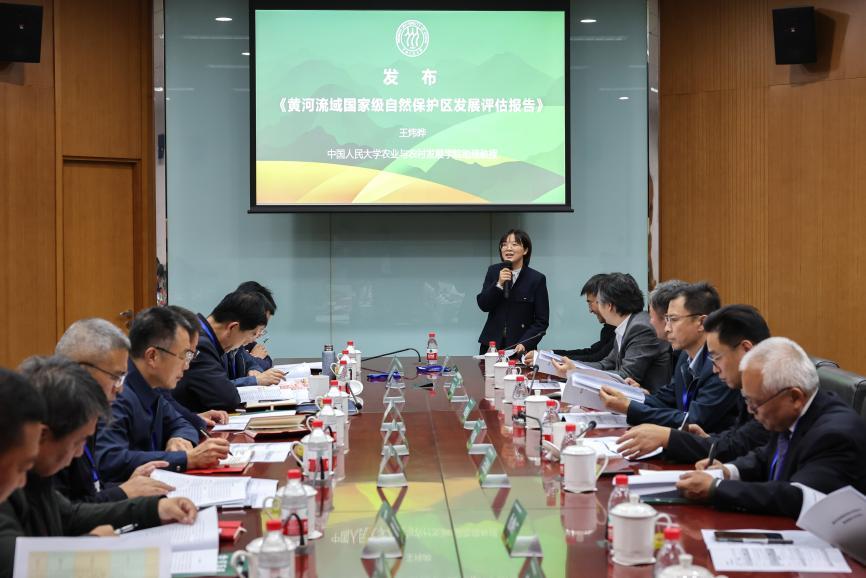 免费色情片